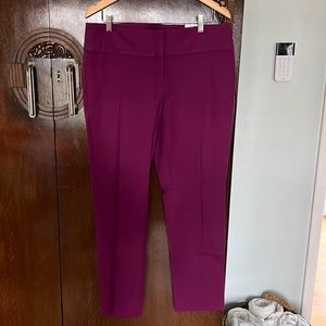 Alfani Fuchsia Slim Leg Ankle Pants Size 12